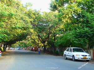 Beach Road, Besant Nagar